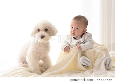 嬰兒,嬰兒,幼兒,小狗 嬰兒,嬰兒,幼兒,小狗 45688636