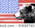 bear on the background of the American flag 45689740
