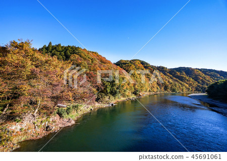 Sakai Bridge Autumn Leaves 45691061