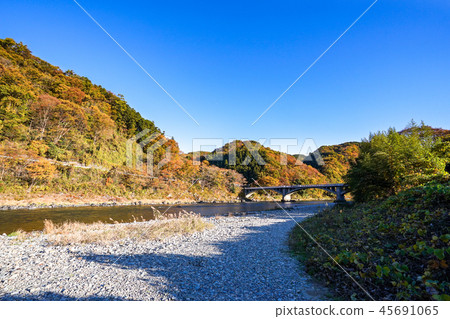 Sakai Bridge Autumn Leaves 45691065