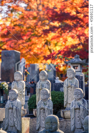 Eigenji寺Momiji寺 45691117