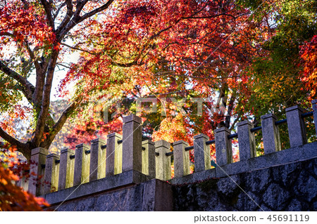 Eigenji Temple Momiji Temple 45691119