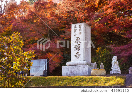 Eigenji寺Momiji寺 45691120