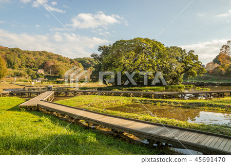 嚴島濕地公園 嚴島濕地公園 45691470