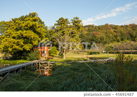 Itsukushima Wetlands Park 45691487