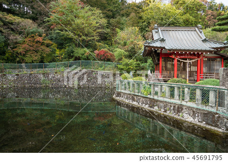 Kiyokaemon Jigokuike Shimizu 45691795