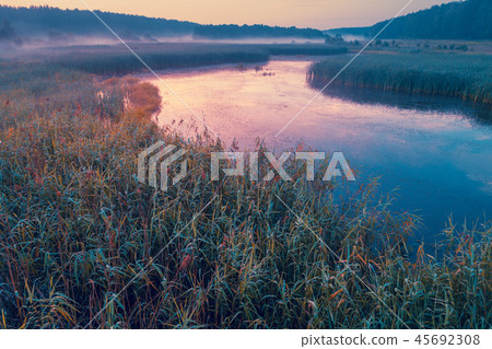Aerial view of the lake in the early foggy morning 45692308