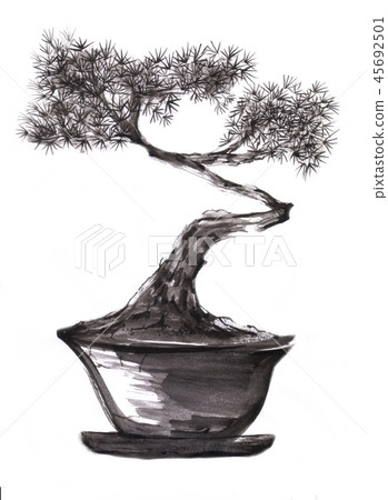 Bonsai，BONSAI 45692501