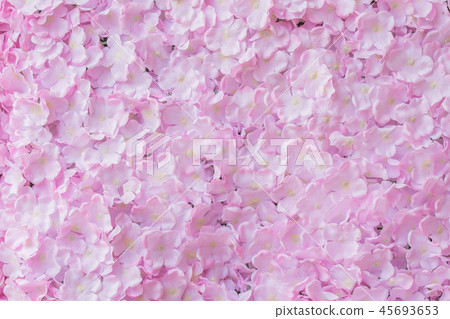 pink flower background pink flower background 45693653