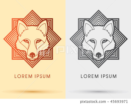 White Wolf Fox Head Face White Wolf Fox Head Face 45693971
