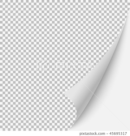 blank page blank page 45695317