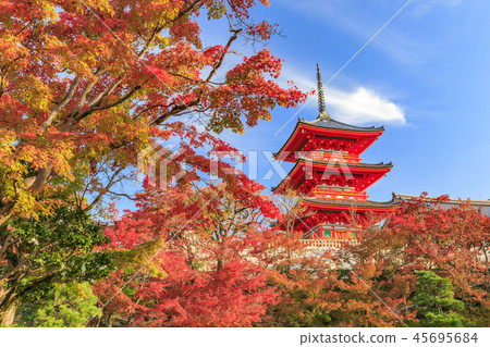 Kiyomizudera Temple 45695684