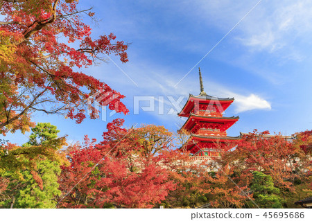 Kiyomizudera寺 45695686