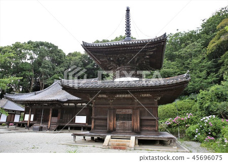 Hainan City Chohoji 45696075