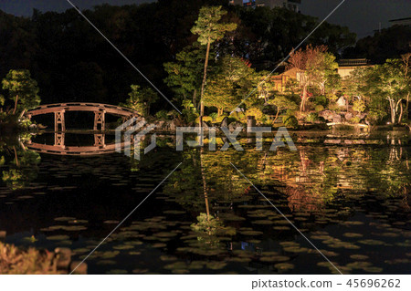 Wataru Gardens light up 45696262