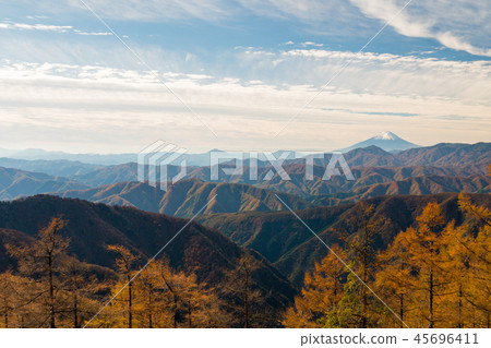 [Tokyo] Karamatsu and Mt. Fuji from Mt. Untori 45696411