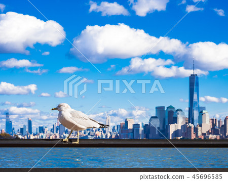Seagull and Manhattan Skyscraper Seagull and Manhattan Skyscraper 45696585