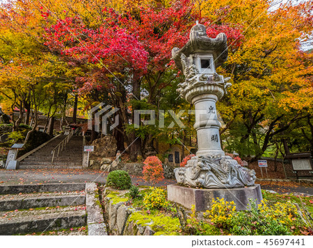 Chang'an Temple of autumn leaves Chang'an Temple of autumn leaves 45697441