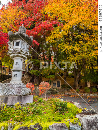 Chang'an Temple of autumn leaves Chang'an Temple of autumn leaves 45697442