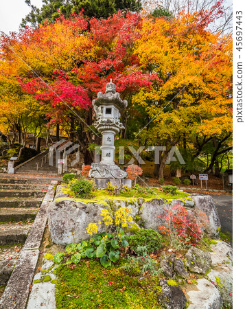 Chang'an Temple of autumn leaves Chang'an Temple of autumn leaves 45697443