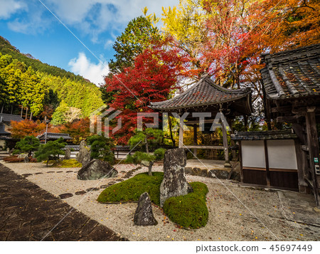 長安寺的秋葉 45697449