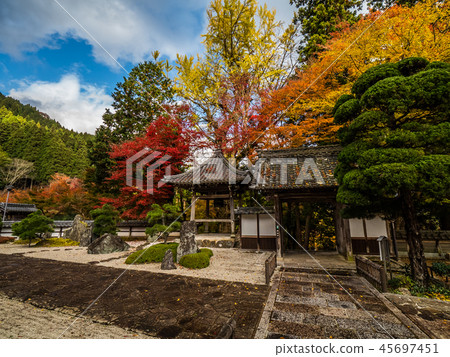 長安寺的秋葉 長安寺的秋葉 45697451