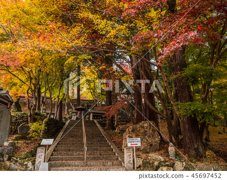 長安寺的秋葉 45697452