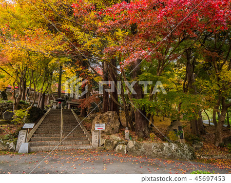 長安寺的秋葉 45697453