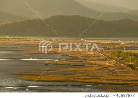 Suncheon Bay, Suncheon City, Jeonnam 45697677