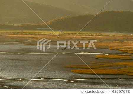 Suncheon Bay, Suncheon City, Jeonnam Suncheon Bay, Suncheon City, Jeonnam 45697678