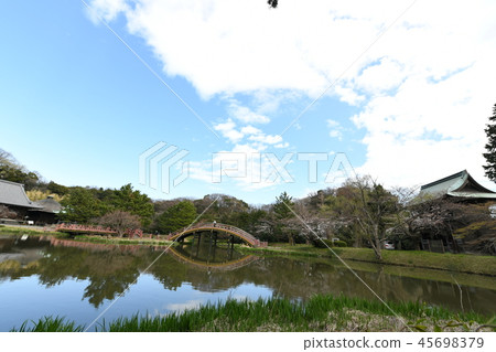Shimei Temple Ejiga Pond where the cherry blossoms bloom 45698379