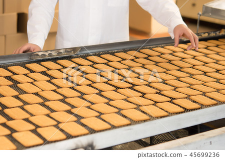 cookie factory making cookie factory making 45699236
