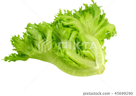 lettuce on white background 45699290