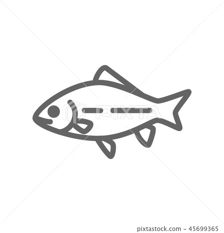 Simple fish and carp line icon. Symbol and sign illustration design. Isolated on white background Simple fish and carp line icon. Symbol and sign illustration design. Isolated on white background 45699365