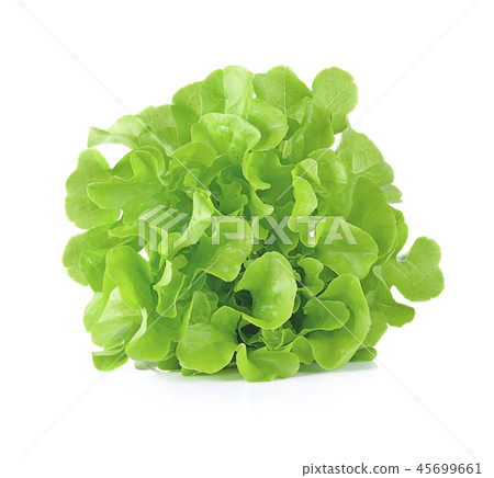 Fresh  lettuce leaves isolated on white 45699661