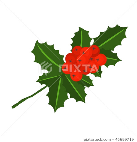 Holly berry branch for Christmas wreath and pattern Holly berry branch for Christmas wreath and pattern 45699719