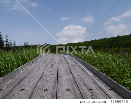 到處都是直線的北海道協和市的Kamisennuma步行路線 到處都是直線的北海道協和市的Kamisennuma步行路線 45699720