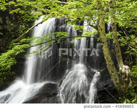 Utsue四十八瀑布(岐阜縣) Utsue四十八瀑布(岐阜縣) 45699803