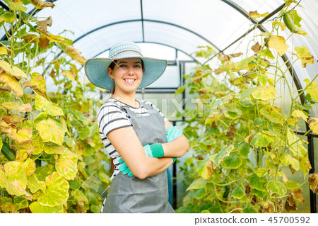 Photo of happy woman gardener in hat at greenhouse with cucumbers 45700592
