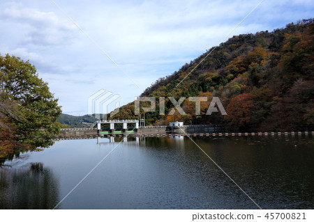 Autumn leaves of Myoko lake Autumn leaves of Myoko lake 45700821