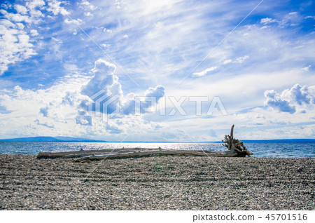Lake in Yellowstone National Park 45701516