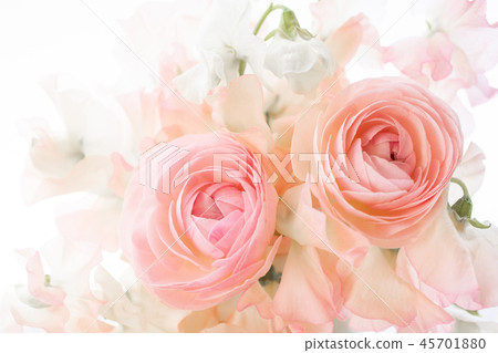 Ranunculus and sweet pea Ranunculus and sweet pea 45701880