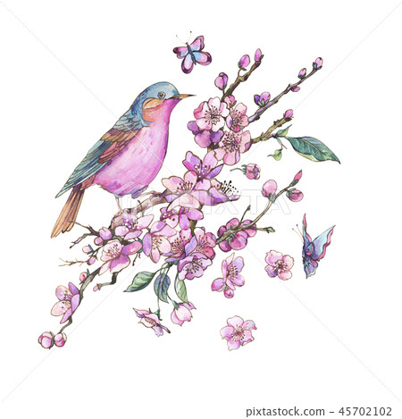 Watercolor floral spring greeting card, pink blooming branches o 45702102