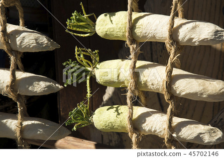 Dried radish 45702146