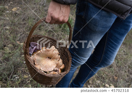 man with a basket full of red pine mushrooms. 45702318