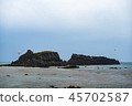 Sea of Fukaura 45702587