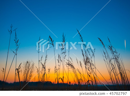 Hunter lookout tower in the morning Hunter lookout tower in the morning 45702797