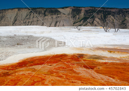 Mammoth Hot Springs Terraces, Wyoming, USA 45702843
