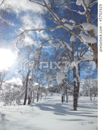雪山森林和藍天雪山 45702929