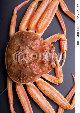 雪蟹女性成分 45703036